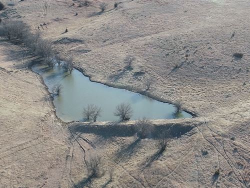Riga Grass & Developed Water : Riga : Trego County : Kansas
