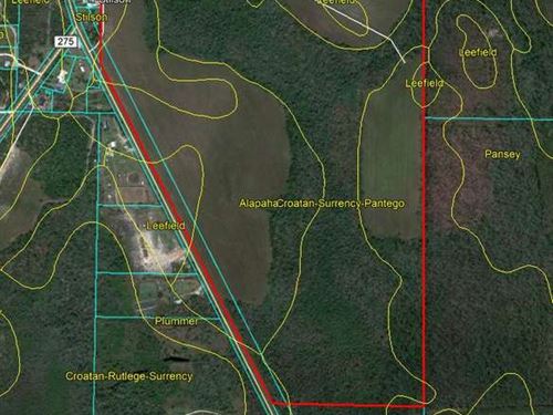 181 Acres of Vacant Land : Altha : Calhoun County : Florida