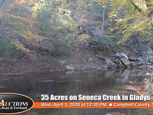 35 Acres on Seneca Creek : Gladys : Campbell County : Virginia