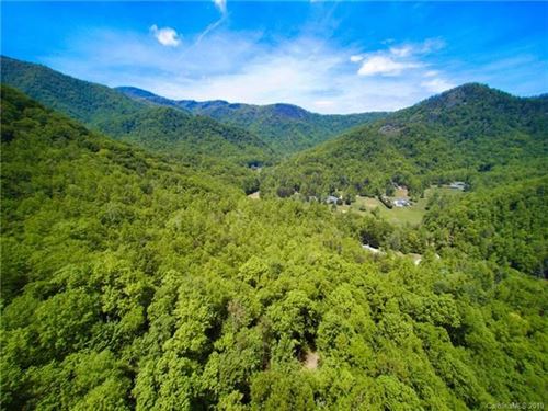 Mountain Acreage Adjacent to Pisgah : Marion : McDowell County : North Carolina