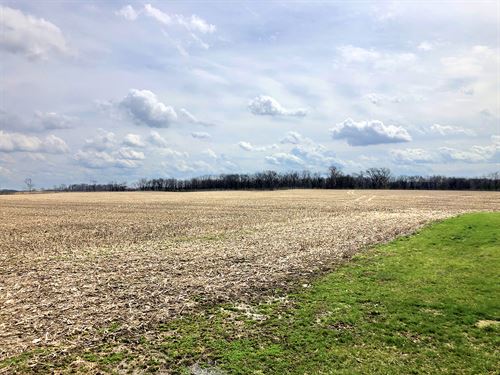Important Ohio Land Auction : Washington Court House : Fayette County : Ohio