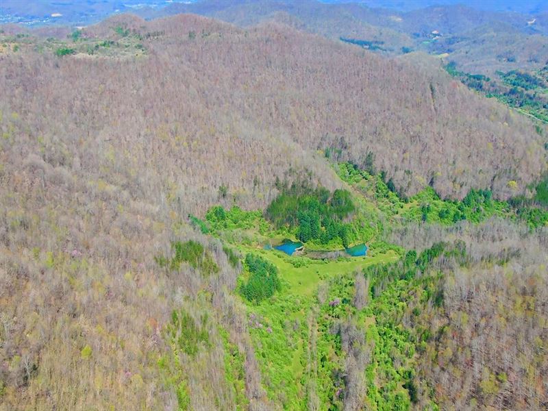 Cane Creek Valley Auction : Williamsburg : Whitley County : Kentucky
