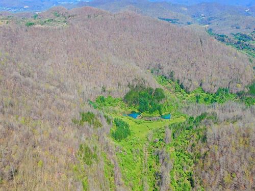 Cane Creek Valley Auction : Williamsburg : Whitley County : Kentucky