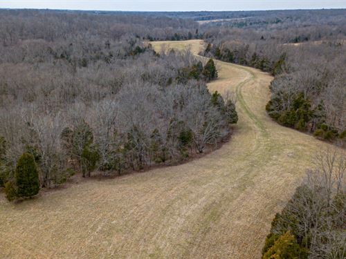 Crop & Hunting Land, Building Sites : Lawrenceburg : Anderson County : Kentucky