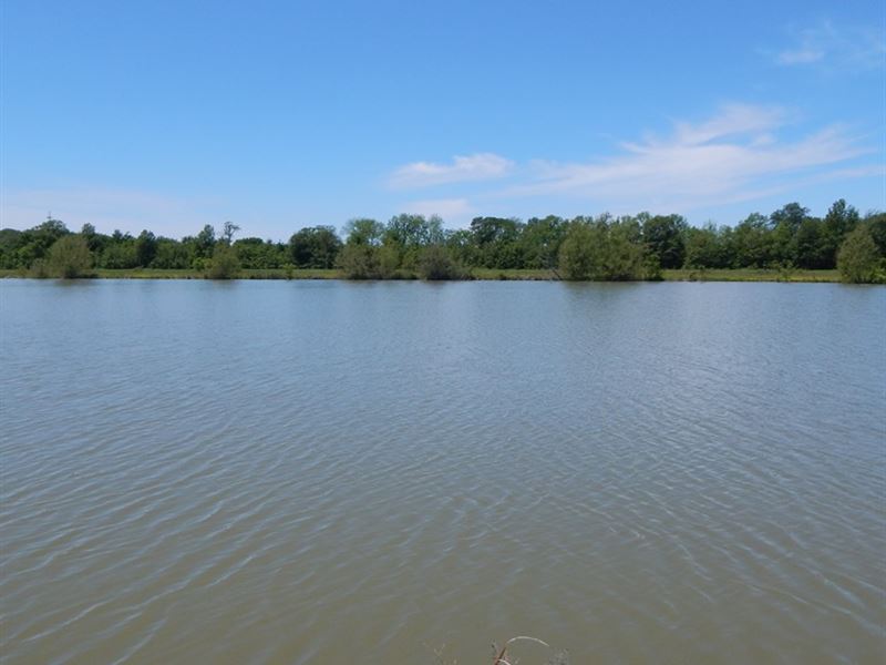25 Up to 48 Acres with a 11 Ac Lake : Clarksdale : Coahoma County : Mississippi