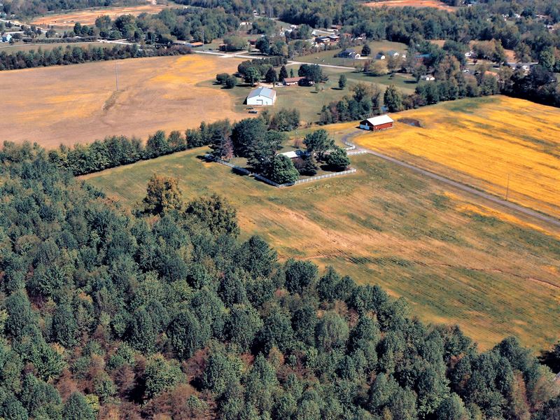 Absolute Auction 44.97+/ Farm, Land Auction in Kentucky, 240334