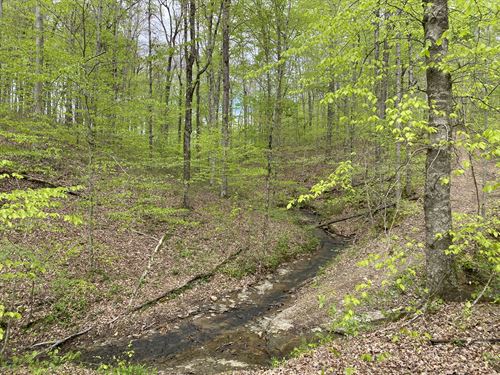 Absolute Auction Farm Wtimber : Knifley : Adair County : Kentucky