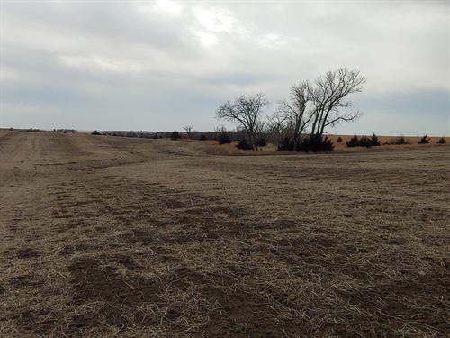 Luray Homewood Trust : Bunker Hill : Russell County : Kansas