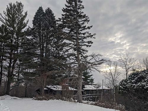 Auction, Home, Cabins, Acreage : Warrensburg : Warren County : New York