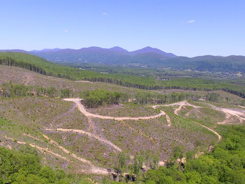 Sealed Bid Joins National Forest : Bedford : Bedford County : Virginia