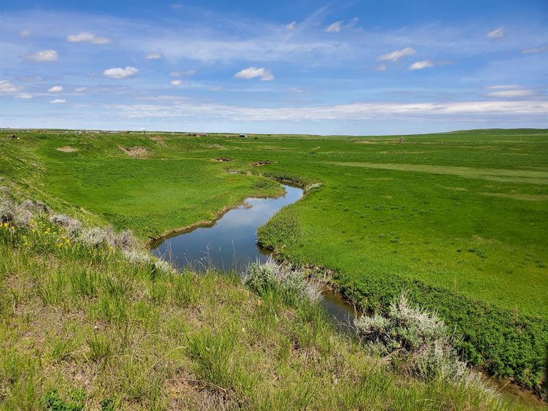 Bohemian Corner Land Auction : Roy : Fergus County : Montana