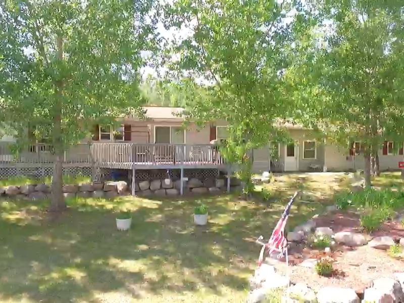 Lake Home Auction / Clitherall Area : Clitherall : Otter Tail County : Minnesota