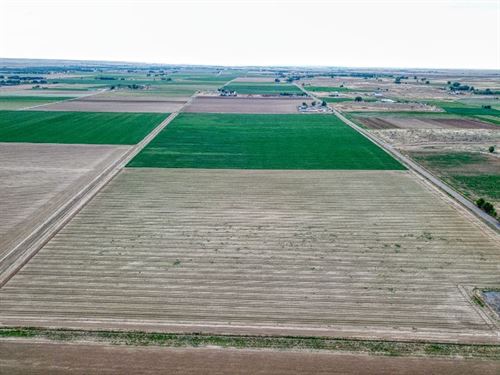 Avondale Irrigated Farm Ground : Avondale : Pueblo County : Colorado