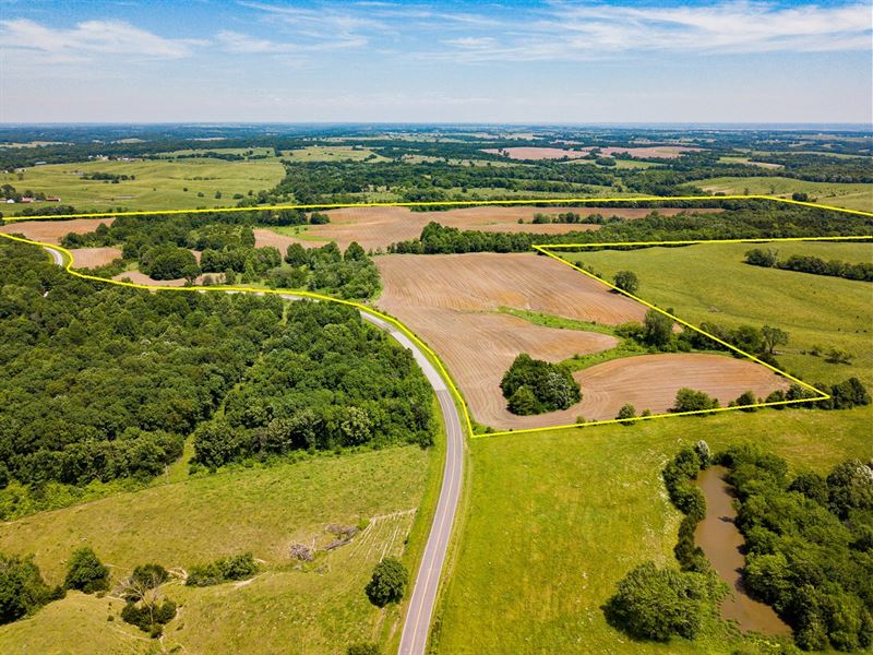 Auction Tillable Farm Hunting : Bucklin : Macon County : Missouri