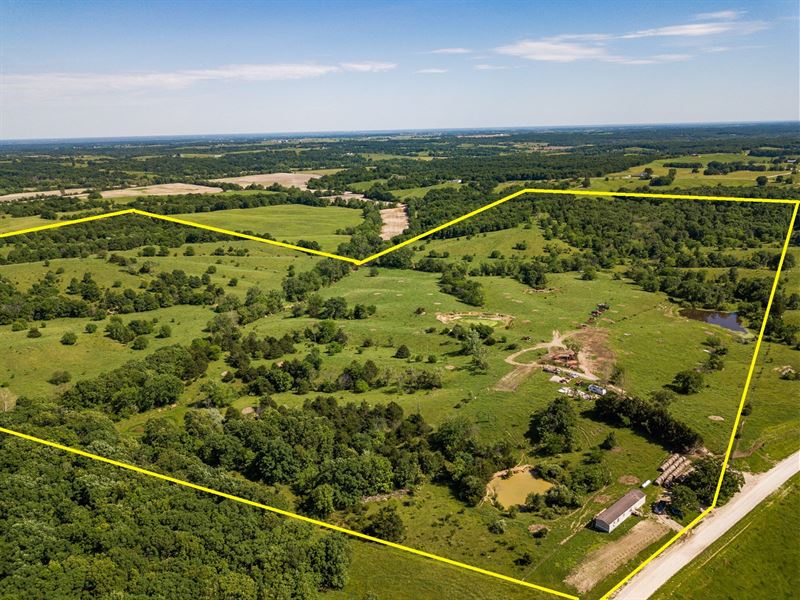 Live Auction, Pasture Farm Hunting : Bucklin : Macon County : Missouri
