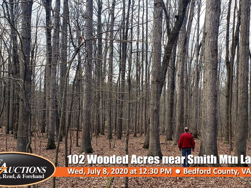 102 Wooded Ac Near Smith Mtn Lake : Moneta : Bedford County : Virginia