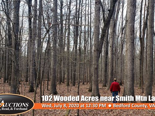 102 Wooded Ac Near Smith Mtn Lake : Moneta : Bedford County : Virginia