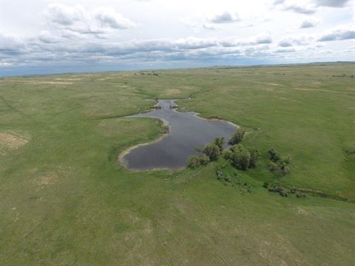 10,771 Prime Acres on Flint Creek : Faith : Meade County : South Dakota