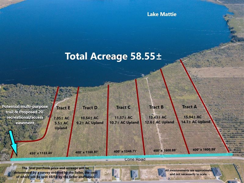 58+/- AC Lakefront Development Land : Auburndale : Polk County : Florida