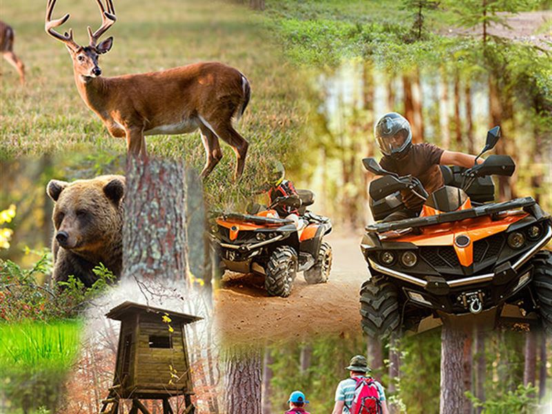 336 Acres Premier Recreational Land : Beech Creek : Clinton County : Pennsylvania