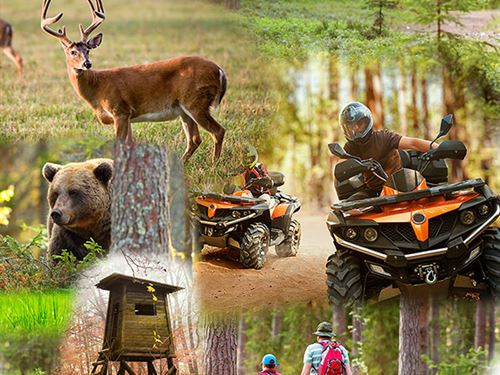 336 Acres Premier Recreational Land : Beech Creek : Clinton County : Pennsylvania