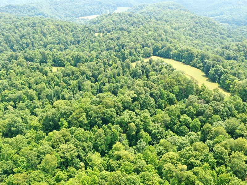 Buildings & 144 Ac in 3 Tracts : Gainesboro : Jackson County : Tennessee