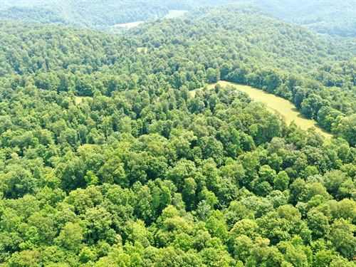 Buildings & 144 Ac in 3 Tracts : Gainesboro : Jackson County : Tennessee