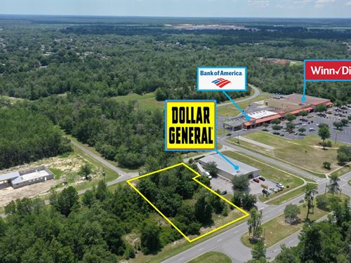 Absolute $1 Auction, Ocala, FL : Ocala : Marion County : Florida