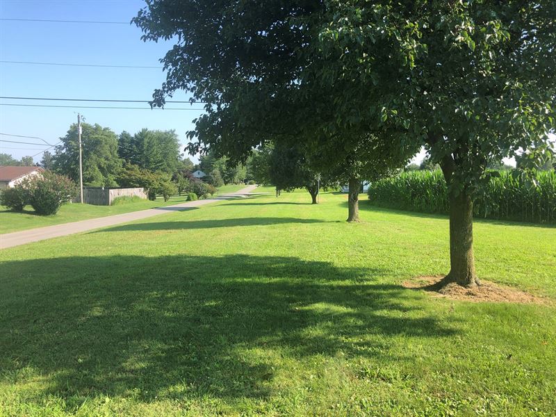 Land Western KY Online Only Auction : Calhoun : McLean County : Kentucky