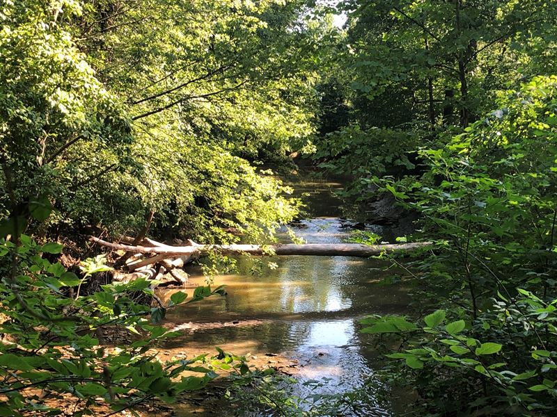 Land for Sale in McLean County KY : Calhoun : McLean County : Kentucky