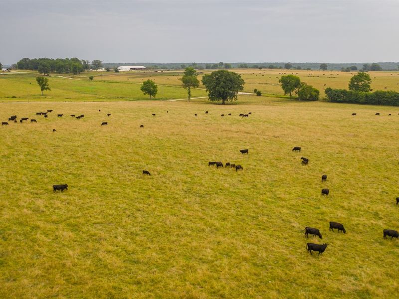 Farm & Ranch Cedar County, MO : Stockton : Cedar County : Missouri