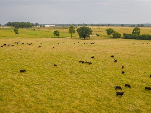 Missouri Ranch For Sale : Stockton : Cedar County : Missouri