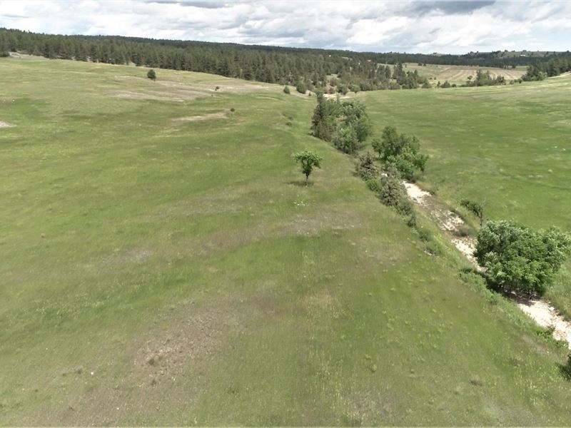 Black Hills SD Ranch/Rec Land : Hot Springs : Custer County : South Dakota