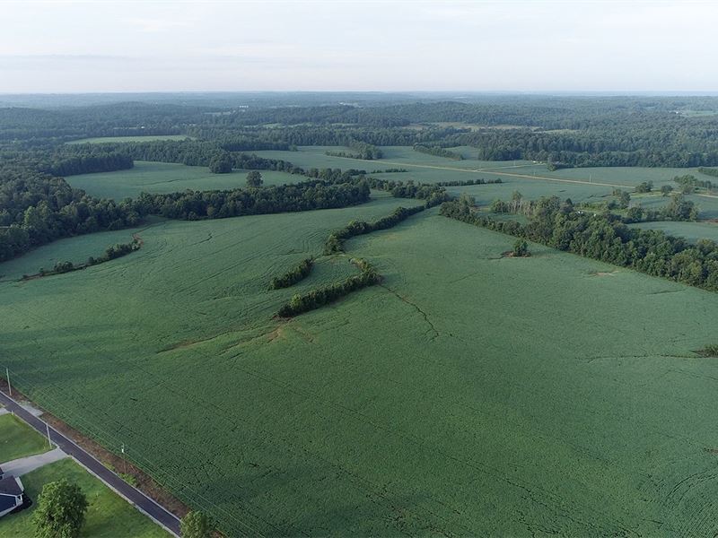 Land Auction in 19 Tracts : Nortonville : Hopkins County : Kentucky