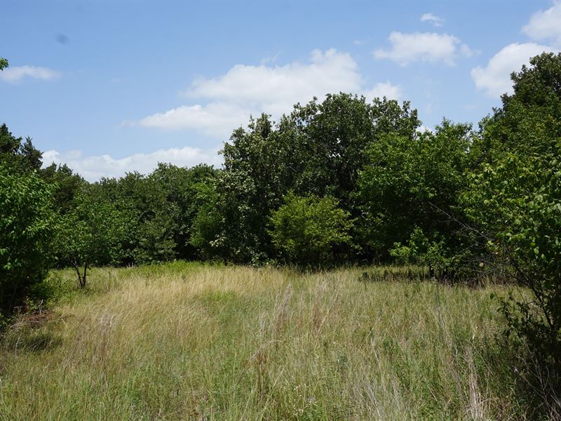 No Reserve Auction 60 Ac Carney, OK : Carney : Lincoln County : Oklahoma