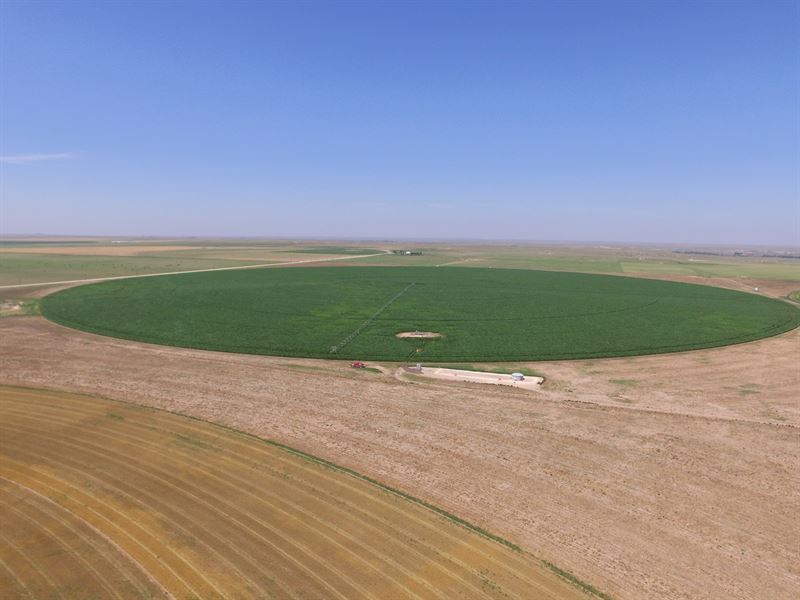 Online Only Auction Texas County OK : Goodwell : Texas County : Oklahoma