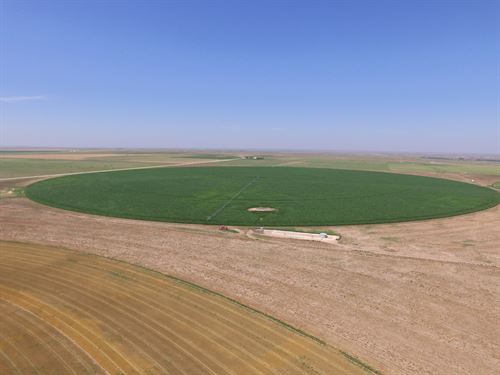 Online Only Auction Texas County OK : Goodwell : Texas County : Oklahoma