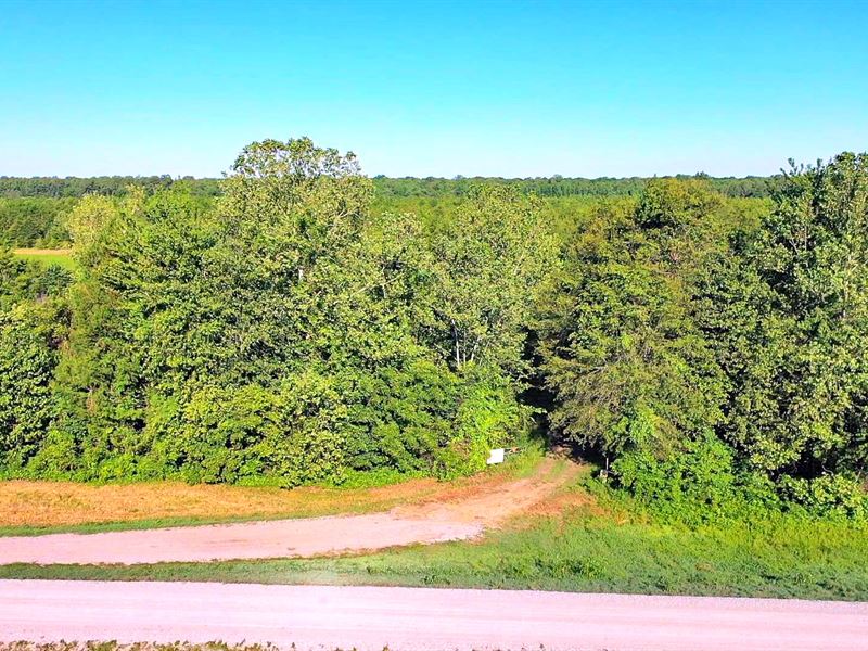 St. Francis Duck Preserve : Caraway : Craighead County : Arkansas