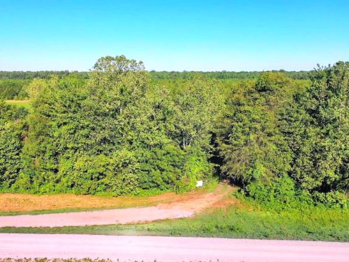 St. Francis Duck Preserve : Caraway : Craighead County : Arkansas