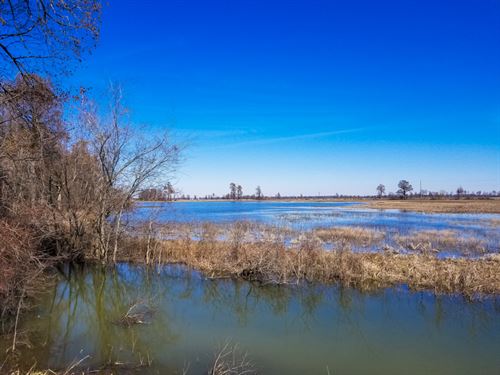 Attention Waterfowl Hunters : Hickman : Fulton County : Kentucky