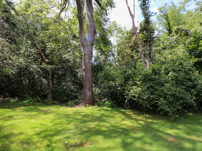 Wooded Lot Next to Golf Course : Floyd : Floyd County : Virginia