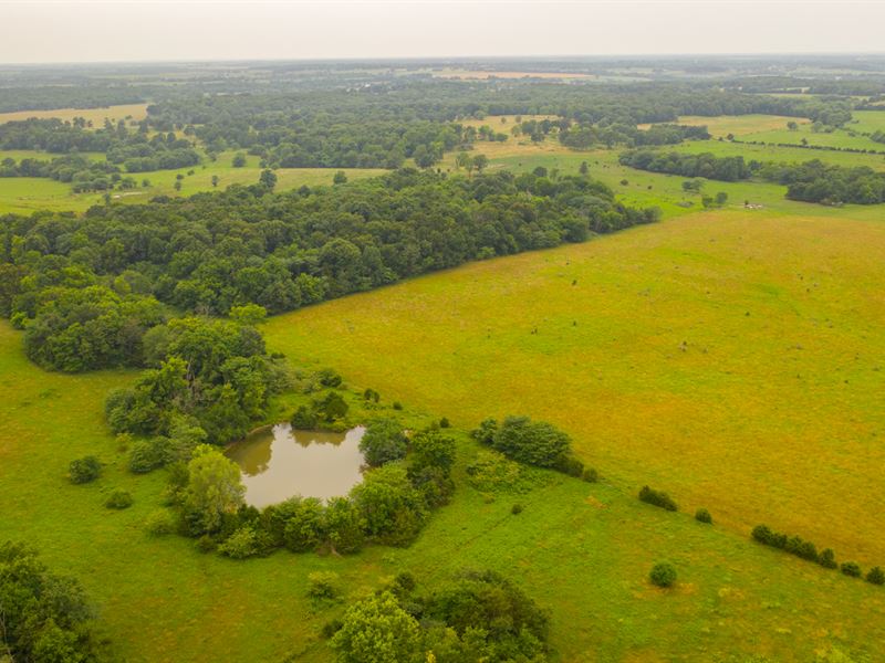Missouri Land Auction : Stockton : Cedar County : Missouri
