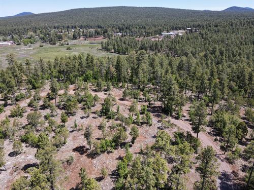 Arizona Land Online Auction : Pinetop-Lakeside : Navajo County : Arizona