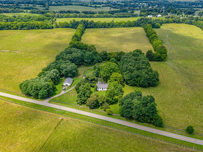 182 Acres in 13 Tracts, Auction : Danville : Boyle County : Kentucky
