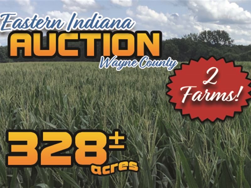 Farmland Auction in Indiana : Hagerstown : Wayne County : Indiana