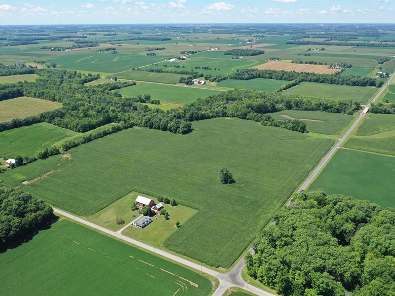 Newman Trust Auction, Sept, 18th : Mount Blanchard : Hancock County : Ohio
