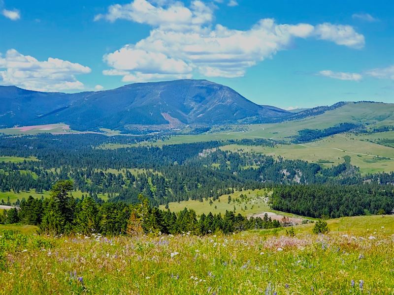 Belt Creek Ranch : Belt : Cascade County : Montana