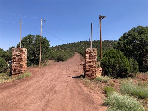 1.08 Acre Home Site Cedar Ridge : Vernon : Apache County : Arizona