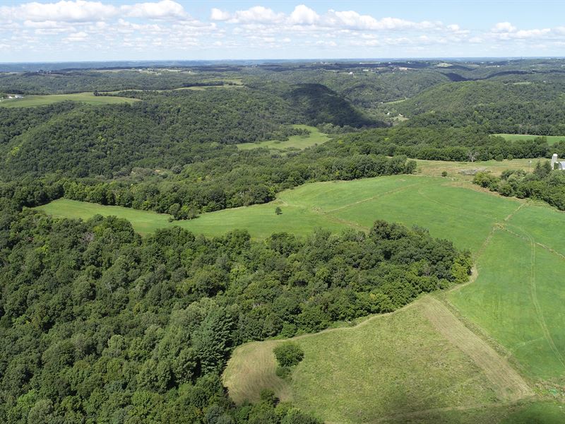 Driftless Ranch : Ferryville : Crawford County : Wisconsin