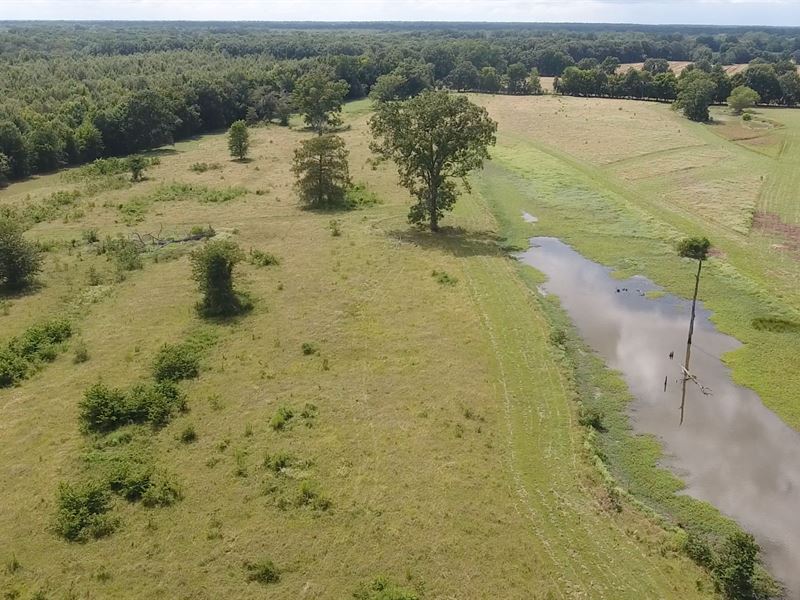 60 Acres for Sale at Auction : Waterproof : Tensas Parish : Louisiana